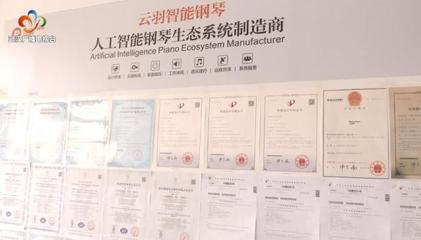 銀發創業傳奇 傾盡家產鑄琴魂，兩年破兩億的跨界逆襲